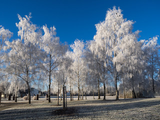 Parkfriedhof