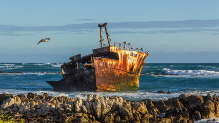 Das Wrack der Meisho Maru No.38 am südlichsten Punkt Afrikas