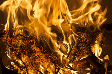 Texture of the fire