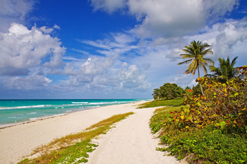 beautiful beach in varadero, cuba