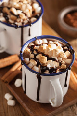 s'mores hot chocolate mini marshmallows cinnamon winter drink
