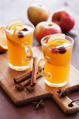 hot apple orange cider with cinnamon spice warming drink