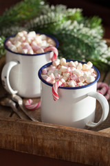 hot chocolate with mini marshmallow candy cane