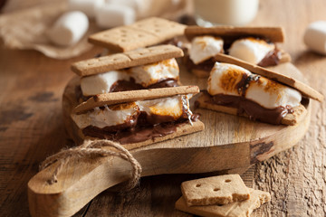 homemade marshmallow s'mores with chocolate on crackers