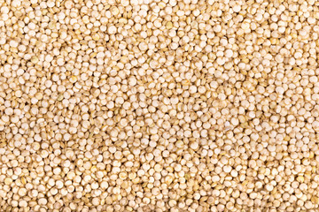 A background of white Chenopodium quinoa seeds, a superfood high in protein and fibre. 