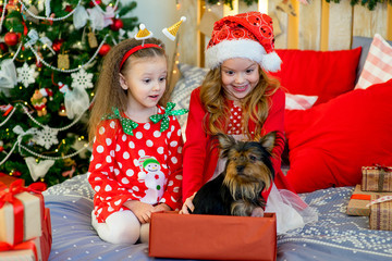 Happy Little girls and dog at Christmas