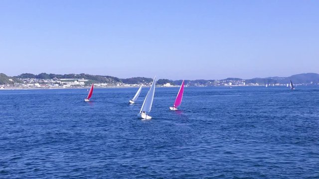 江ノ島の海でのセーリング競技
