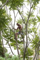 tree Climbing