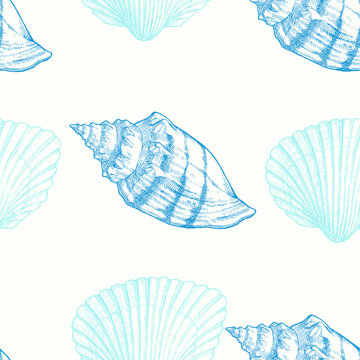Seashell.  Hand drawn marine illustration. Vector seamless pattern