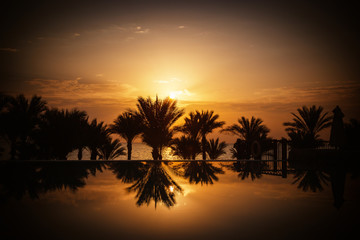 Obraz premium Sunrise over infinity pool and the Red Sea