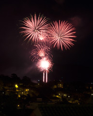  Firework in the night sky