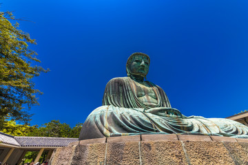 The Great Buddha in Kamakura Japan.  Located in Kamakura, Kanagawa Prefecture Japan.