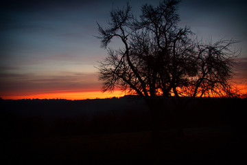Fototapeta premium Sonnenuntergang