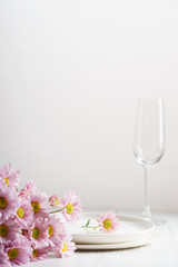 pink chrysanthemum flowers