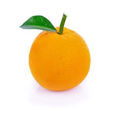 orange on white background