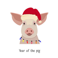 Vector pig head in winter new year clothing
