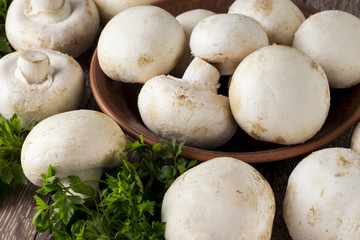 edible raw mushrooms
