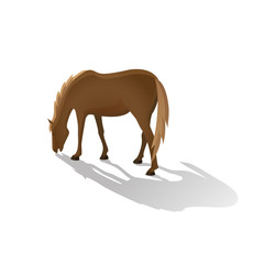  Brown grazing horse isolated image in a flat style. Vector.