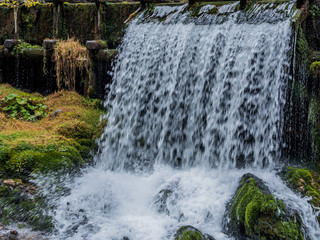 Bach mit fliessendem, klarem Wasser