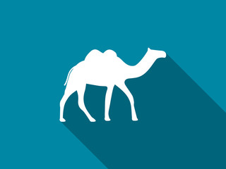 Camel with a long shadow. Camel with two humps icon. Vector illustration