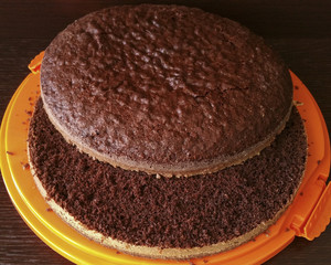 chocolate sponge cake