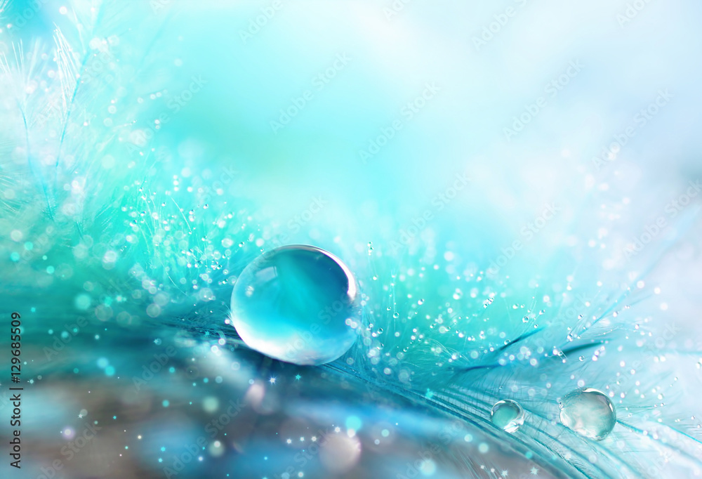 Poster a drop of water dew on a fluffy feather close-up macro with sparkling bokeh on blue blurred backgrou