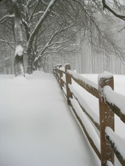 snowy winter calm
