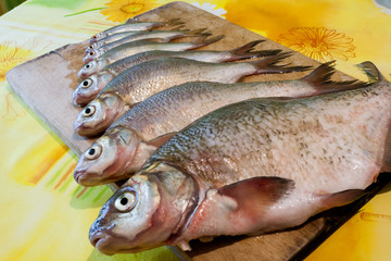 Close-up row of fresh river fish of different sizes.