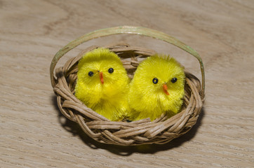 POUSSINS DECORATIFS © Michèle