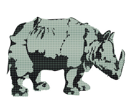 Nashorn, Rhinoceros 