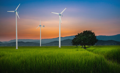 Obraz premium Wind Turbine for alternative energy in green rice field and mountain with sky sunset. Eco power