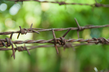 Rust barbed wire and green bokeh background