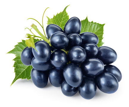Dark blue grape with leaves isolated on white background. With c