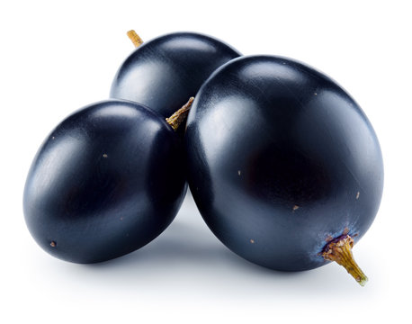 Dark blue grape. Three berries isolated on white background. Wit