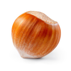 Hazelnut. Fresh organic filbert isolated on white background. Nu