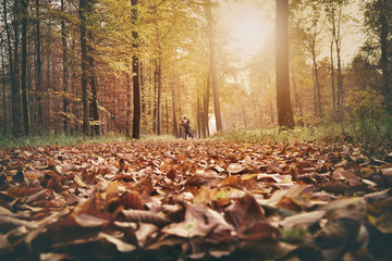 Biker on the forest  bike lane.
