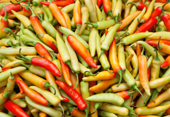 Fresh hot chili pepper. Organic vegetable background.