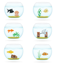 fish in a transparent aquarium vector illustration