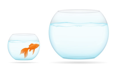 fish in a transparent aquarium vector illustration