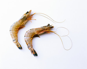 Raw prawns