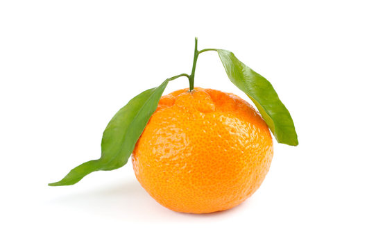 mandarin fruit on white background