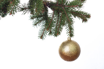 gold Christmas balls on the green fir branch. White background.