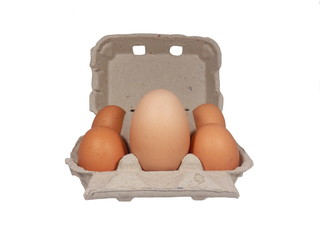 Extra large chicken egg weighing 109gms, in an egg box of large eggs to give an indication of size.