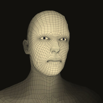 Head of the Person from a 3d Grid. Face Scanning.