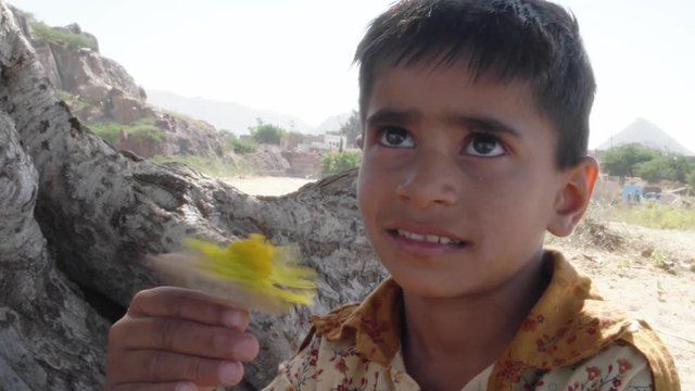 Cute Indian kid with a yellow flower in his hand talking to the camera 