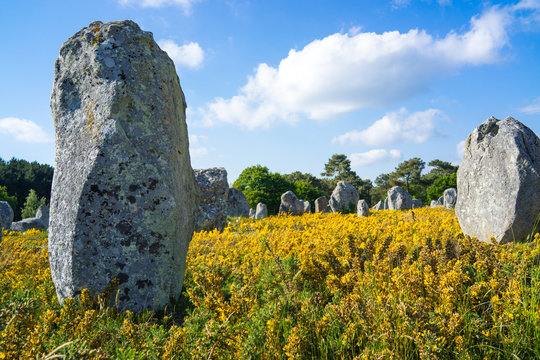 Megalithic alignments of standing stones in Brittany