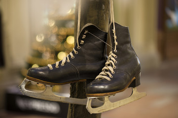 Vintage skates for figure skating hanging on the tree