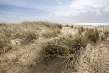 Fototapeta na wymiar Dunes on a beach of L'aiguillon sur Mer, Vendee, France