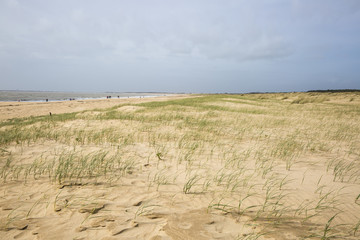 Dunes on a beach of L'aiguillon sur Mer, Vendee, France