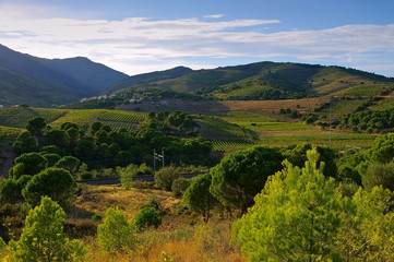 Cote Vermeille, Hügel - Cote Vermeille, hills in France